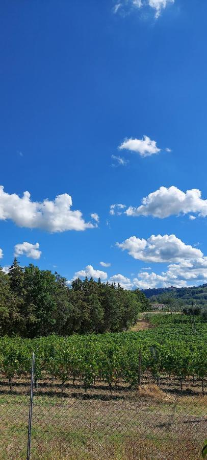 לינה וארוחת בוקר Serra deʼ Conti Il Pozzo Di Vivalpa מראה חיצוני תמונה