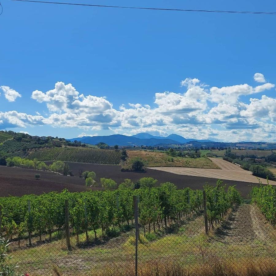 לינה וארוחת בוקר Serra deʼ Conti Il Pozzo Di Vivalpa מראה חיצוני תמונה