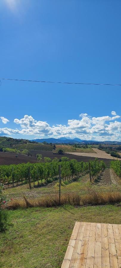 לינה וארוחת בוקר Serra deʼ Conti Il Pozzo Di Vivalpa מראה חיצוני תמונה