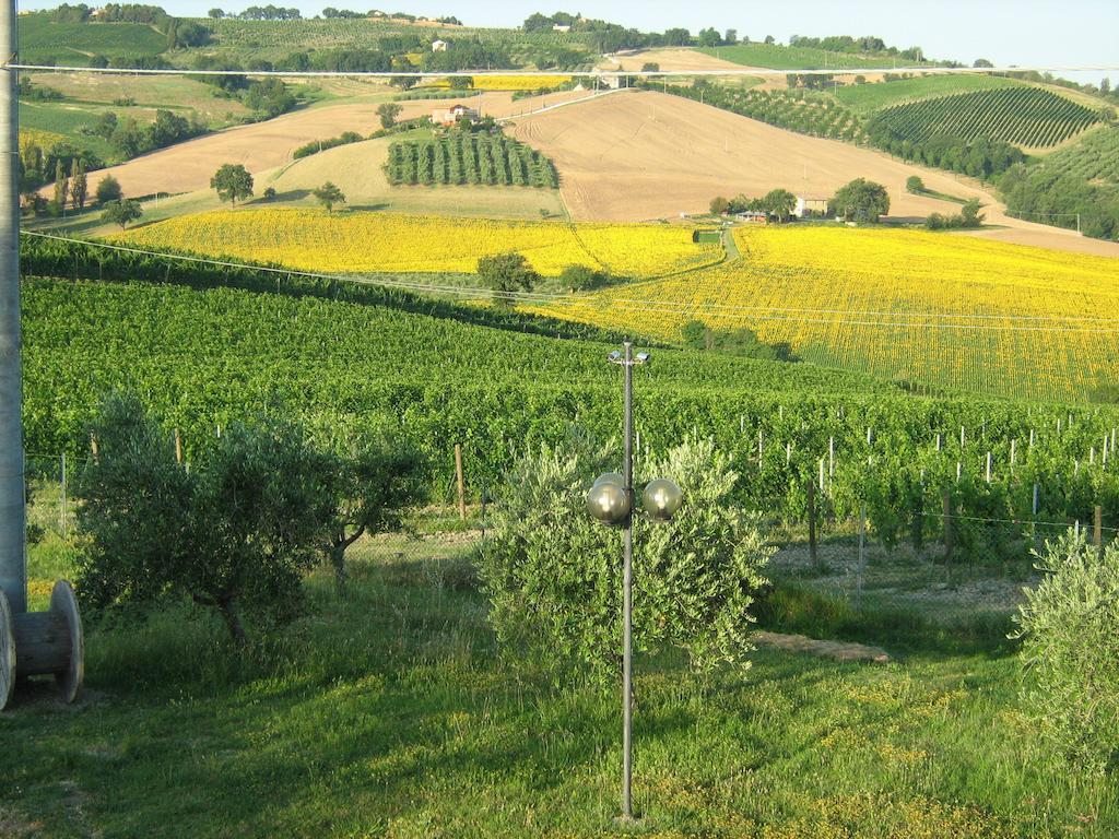 לינה וארוחת בוקר Serra deʼ Conti Il Pozzo Di Vivalpa מראה חיצוני תמונה