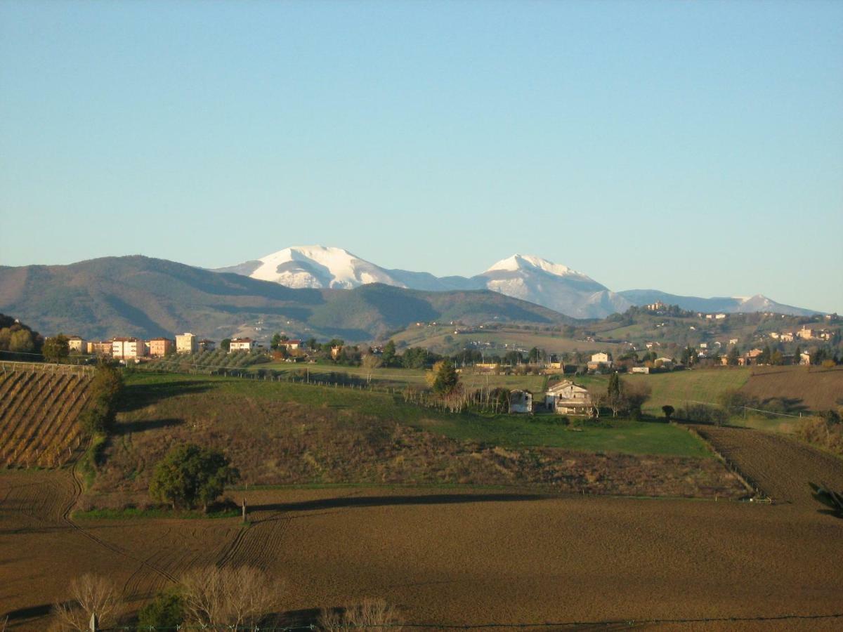 לינה וארוחת בוקר Serra deʼ Conti Il Pozzo Di Vivalpa מראה חיצוני תמונה